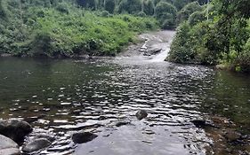 Aconchego Grauna